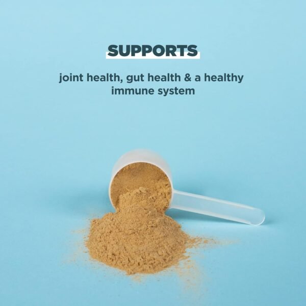 Ancient Nutrition Protein Powder Made from Real Bone Broth, Chocolate, 20g Protein Per Serving, 20 Serving Tub, Gluten Free Hydrolyzed Collagen Peptides Supplement, Great in Protein Shakes - Image 7