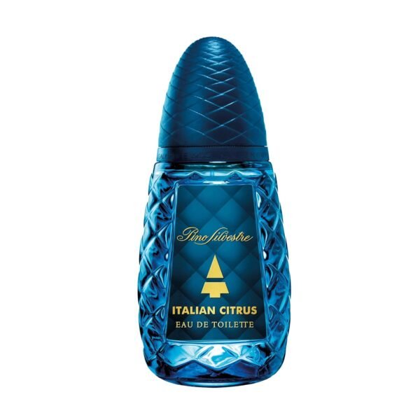 Pino Silvestre Italian Citrus Perfume for Men - Woody, Aromatic Scent - Blended with Lemon, Pine, Apple, Patchouli, and Musk - for Calm, Collective Gentlemen - 4.2 oz EDT Spray - Image 2