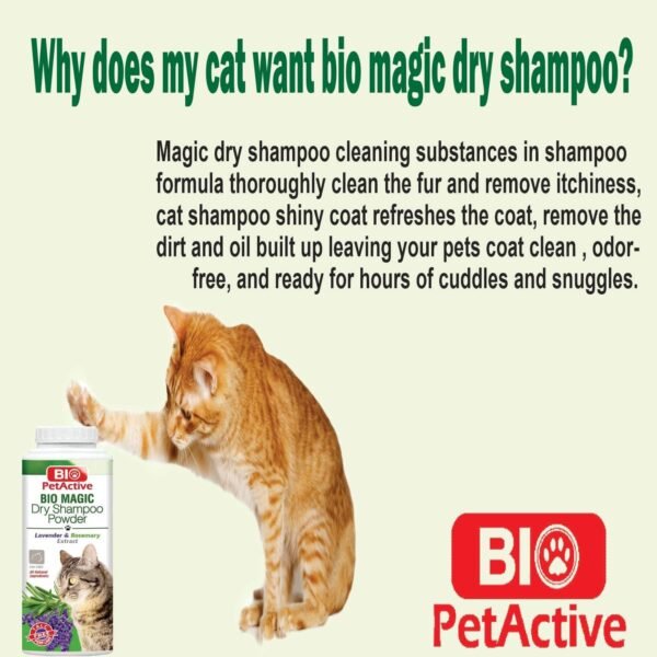 Bio Magic Dry Shampoo Powder with Lavender and Rosemary for Cats | Cleansing and Moisturizing Perfume and Talc Free Suitable for Sensitive Skin - 5.29 oz - Image 6