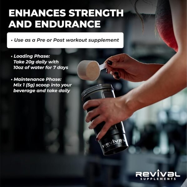 Revival Premium Micronized Creatine Monohydrate - HPLC Tested 100% Pure Grade - 500g (100 Servings) - Supports Lean Muscle Growth - Maximum Absorption - Unflavored - Made in USA & 3rd Party Lab Tested - Image 8