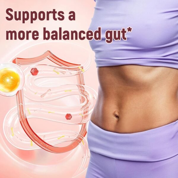 Fiber Gummies with Probiotics,10G Fiber per Serving No Sugar Added Apple Flavor, Fiber with 10 Billion CFU Probiotics Blend, Apple Cider Vinegar, Vitamin C, Inulin, Bloating Support 90 Count - Image 6