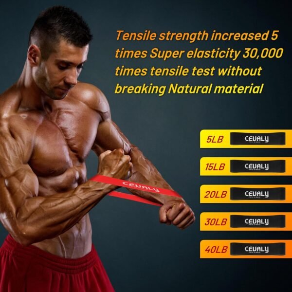 Rip Stick Workout Portable Home Gym Exercise Equipment Adjustable Resistance Bands, Wooden Handles, Liftstick for Upper Body, Shoulder and Joint Rehab (Rip Stick and Bands) - Image 5