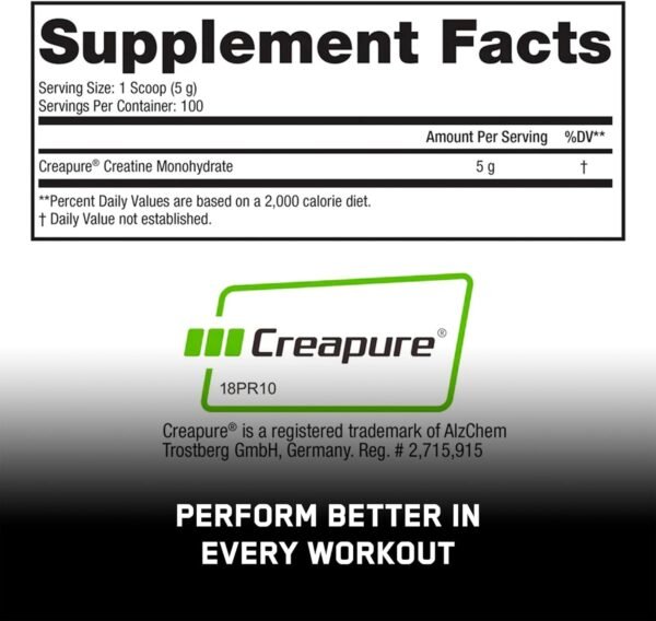 SteelFit Creapure Creatine Monohydrate Powder, Unflavored - German Micronized Creatine Powder for Men & Women - Gym Workout Nutritional Supplements for Muscle Gain, Brain Health & Strength Building - Image 5