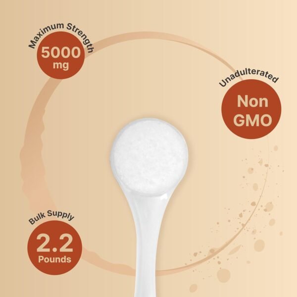 Creatine Monohydrate Powder 1000 Grams, 5000mg Per Serving | Pure Unflavored Creatine Powder – Micronized – Pre Workout – Keto – Vegan – Dissolves Easy – Filler Free – 200 Servings (2.2lbs) - Image 5