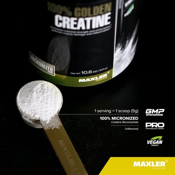 Maxler 100% Golden Creatine - Micronized Creatine Monohydrate Powder - Muscle Building Supplements - Pre/Post Workout Vegan Supplement - Gluten Free Unflavored Creatine Powder - 600 g - Image 4