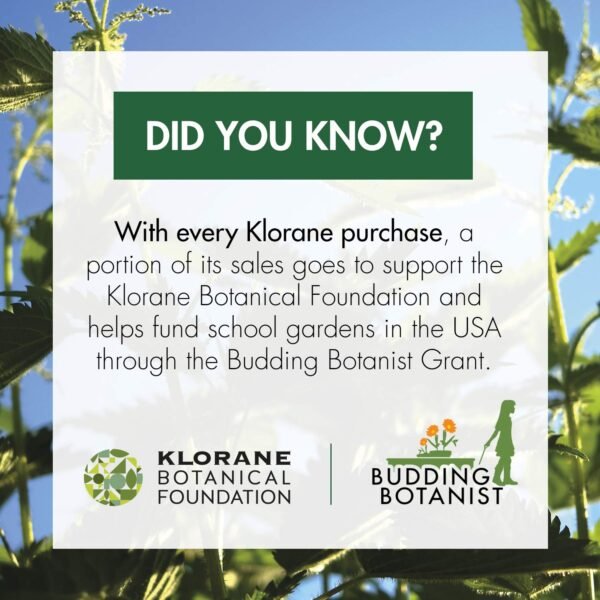 Klorane Dry Shampoo with Nettle for Oily Hair and Scalp, Regulates Oil Production, Paraben & Sulfate-Free - Image 8