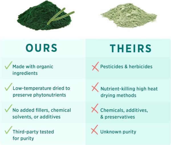 PURE SYNERGY Blue-Green Algae Capsules | Blue Green Algae with Chlorophyll | Organic Superfood Supplement from AFA Blue Green Algae | Supports Energy, Mental Clarity, and Detoxification (90 Capsules) - Image 5