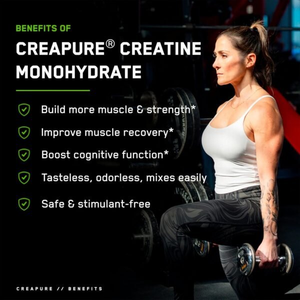SteelFit Creapure Creatine Monohydrate Powder, Unflavored - German Micronized Creatine Powder for Men & Women - Gym Workout Nutritional Supplements for Muscle Gain, Brain Health & Strength Building - Image 4