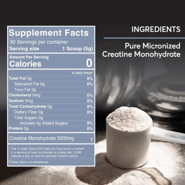 FIOR Pure Creatine Monohydrate Powder - Micronized Creatine for Men & Women, Pure Non-GMO, Vegan & Gluten Free Creatine Powder, 5 Grams per Serving, 30 Servings - Image 7