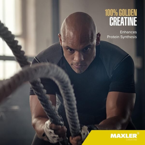 Maxler 100% Golden Creatine - Micronized Creatine Monohydrate Powder - Muscle Building Supplements - Pre/Post Workout Vegan Supplement - Gluten Free Unflavored Creatine Powder - 600 g - Image 7
