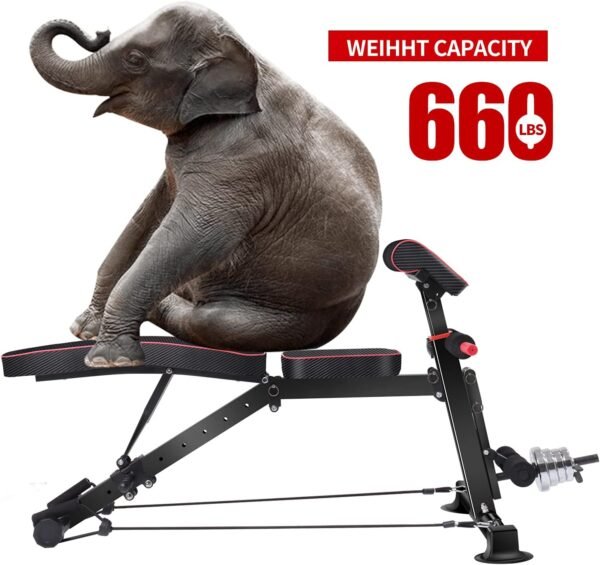 Adjustable Weight Bench - Utility workout Benches for Exercise, Free Installation Design for Portable Fitness Strength Training Equipment at Home Gym - Image 8