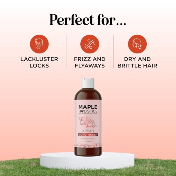 Argan Oil Conditioner for Dry Hair - Nourishing Hair Conditioner for Damaged Dry Hair Infused with Argan Oil of Morocco - Sulfate Free Conditioner for Enhanced Hair Shine Volume and Frizz Control - Image 3