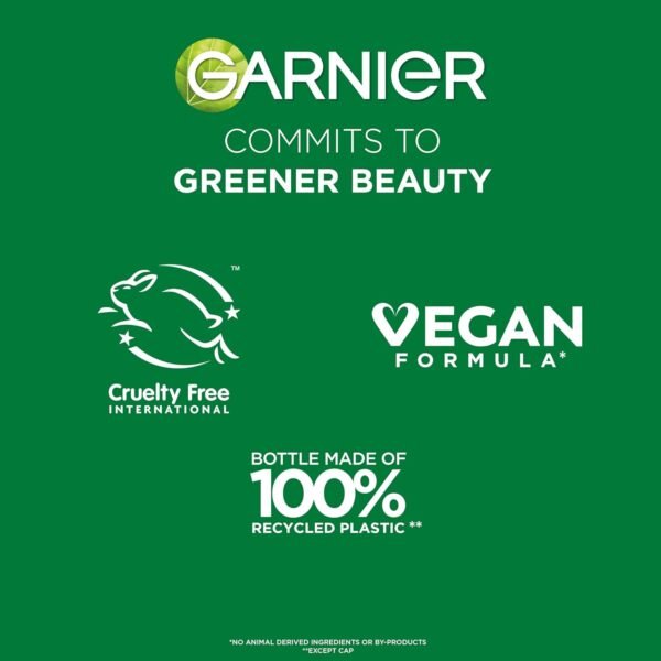 Garnier Fructis Sleek & Shine Shampoo, Conditioner + Anti-Frizz Serum Set for Frizzy, Dry Hair, Argan Oil (3 Items), 1 Kit (Packaging May Vary) - Image 12