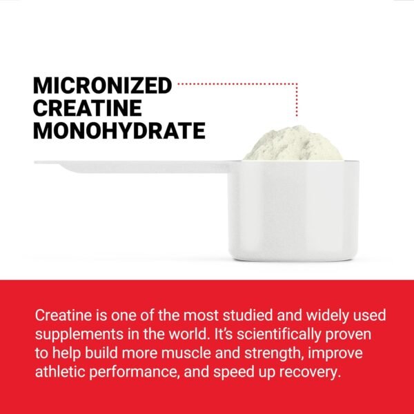 FORCE FACTOR Creatine Monohydrate, Creatine Powder for Muscle Gain, More Strength, and Faster Workout Recovery, Clinically Studied Micronized Creatine 5g Dose Per Serving, Unflavored, 60 Servings - Image 4