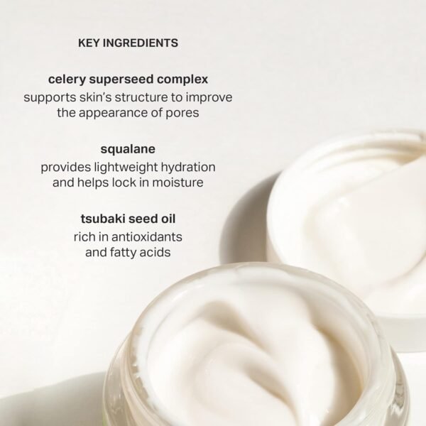Cocokind Texture Smoothing Cream, Face Moisturizer with Squalane, Celery Seed and Cucumber, Face Lotion Moisturizer Face, Hydrating Face Cream - Image 4