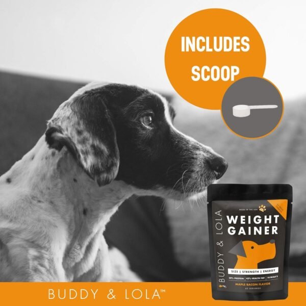 Buddy & Lola Dog Weight Gainer - Dog Supplement for Weight Gain - Dog Protien Powder for Max Muscle Builder, High Calorie Supplement for All Dogs & Breeds inc Bully. Pro Food Topper - Made in The USA - Image 6