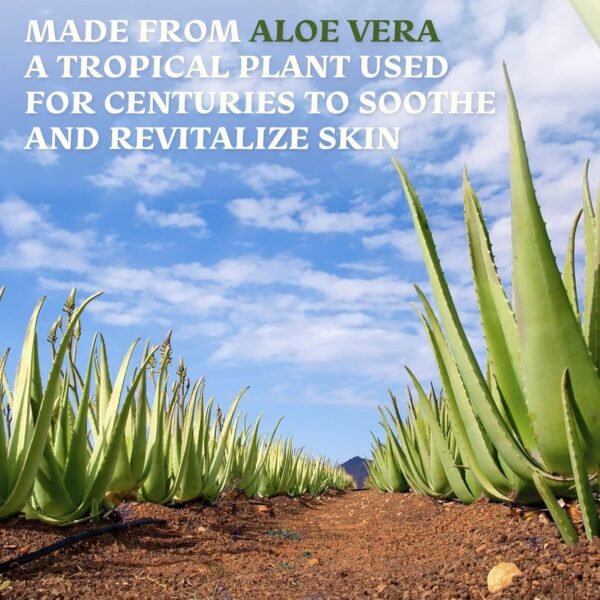 Amazing Aloe Vera Gel - Freshly Cut, 100% Pure Aloe, Premium Quality, Vegan, Unscented - Natural Sunburn Relief, After Shave, Skin, Face & Hair Care 12oz - Image 9