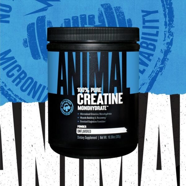 Animal Micronized Creatine Monohydrate Powder - Delays Muscle Fatigue, Supports Muscle Growth, Endurance, ATP Production, Cognitive Function, Strength, and Recovery for Men & Women - Unflavored, 300g - Image 4