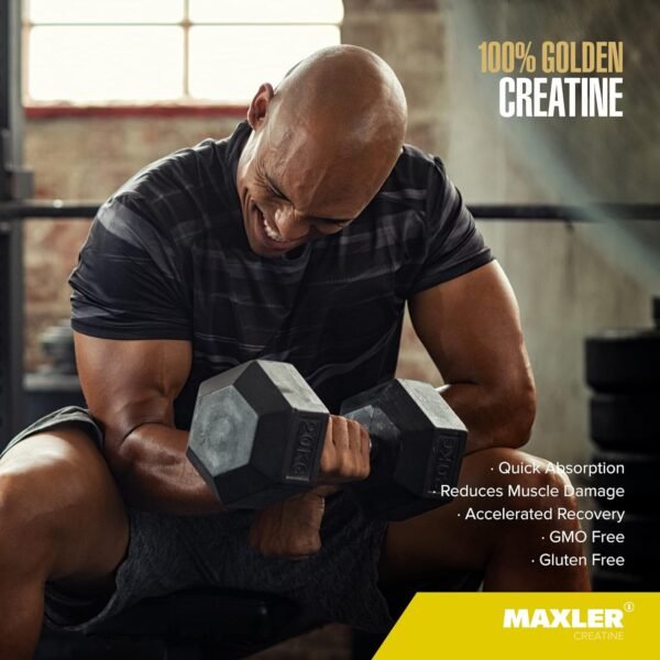 Maxler 100% Golden Creatine - Micronized Creatine Monohydrate Powder - Muscle Building Supplements - Pre/Post Workout Vegan Supplement - Gluten Free Unflavored Creatine Powder - 600 g - Image 5