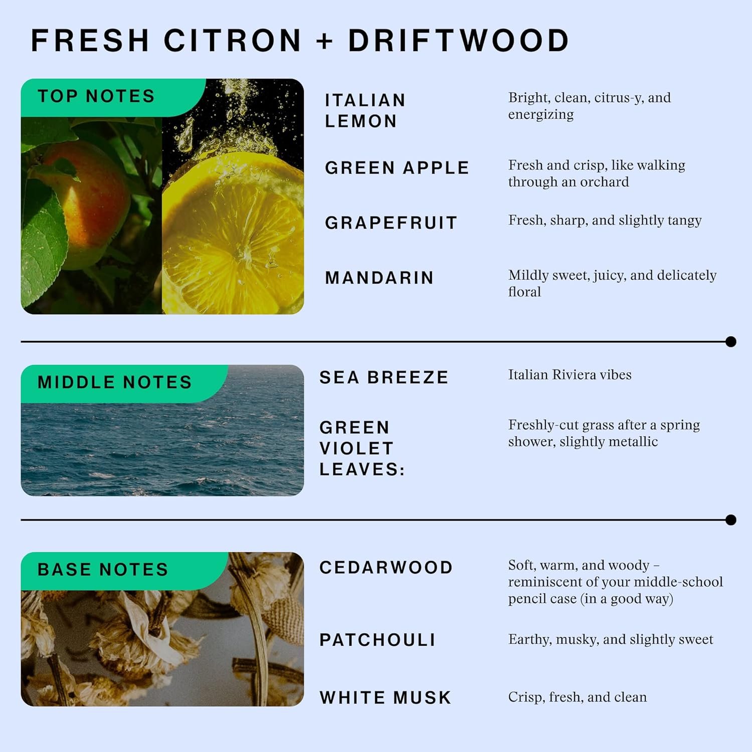 OffCourt Unisex Fragrance – Fresh Citron & Driftwood Scent - Cologne for Men & Perfume for Women, Clean Ingredients, Vegan, Cruelty-Free, Made in USA, 1.7 Oz (50ml) TSA-Friendly - Image 7