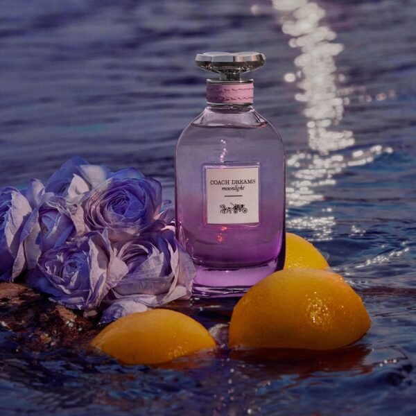 Coach Dreams Moonlight - Image 6
