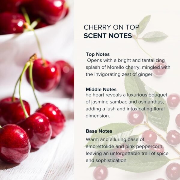 Anthology Cherry on Top Roll on Perfume Oil for Women 0.3oz 9 ML | Cherry, jasmine, Pink Pepper, musk | Alcohol Free Rollerball | Clean & Cruelty-Free Fragrance - Image 7
