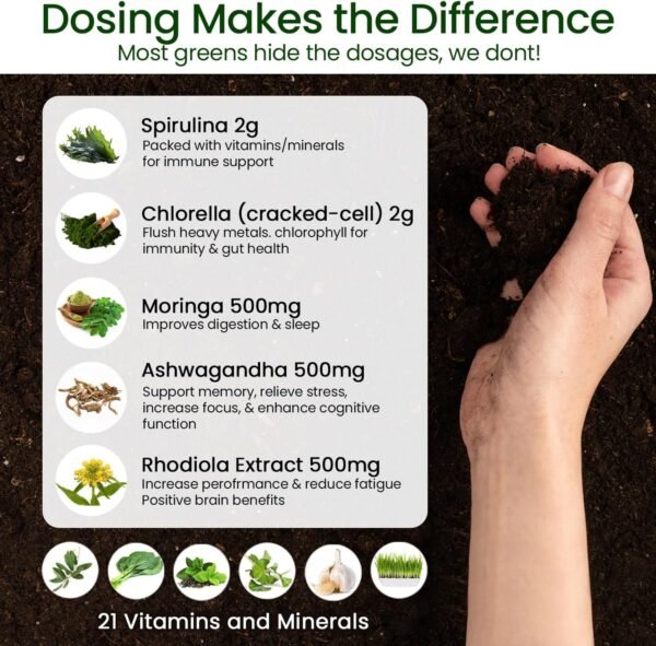 100% Natural Greens Superfood Powder – Daily Supplement with 38 Superfoods, Vitamins and Minerals – Supports Energy, Stress and Immunity – 30 Days 360 Grams Berry Flavor (1 Tub) - Image 6