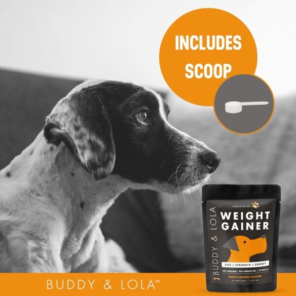 Buddy & Lola Dog Weight Gainer - Dog Supplement for Weight Gain - Dog Protien Powder for Max Muscle Builder, High Calorie Supplement for All Dogs & Breeds inc Bully. Pro Food Topper - Made in The USA - Image 5