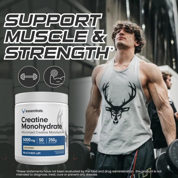 Bucked Up Creatine Monohydrate 250 Grams Micronized Powder, Essentials (50 Servings) - Image 8