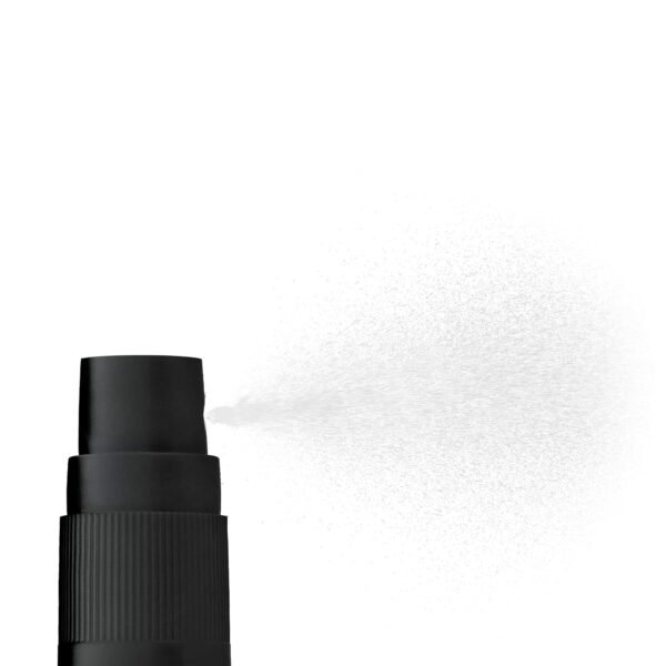 L.A. COLORS Set & Refresh Makeup Sprays, Make It Matte Setting Spray CSS708 - Image 3