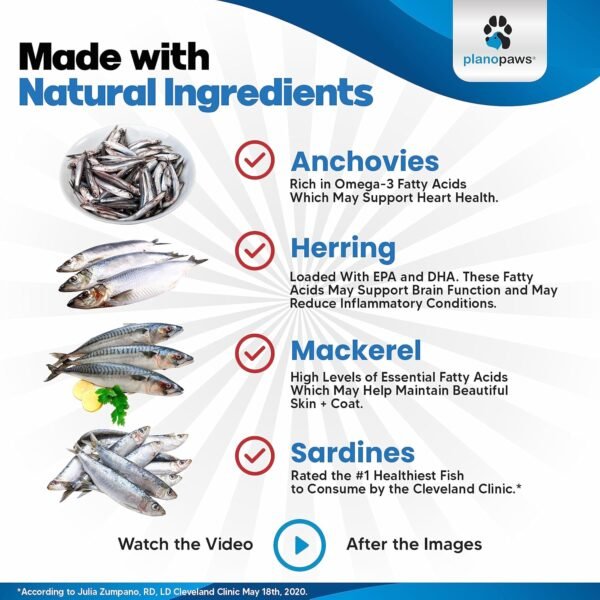 Omega 3 Fish Oil for Dogs - Better Than Salmon Oil - Dog Fish Oil Supplement to Reduce Shedding & Itching - Supports Joints, Brain, and Heart Health - Skin and Coat Supplement - Liquid Fish Oil - Image 7