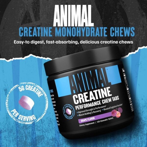 Animal Creatine Chews Tablets - Enhanced Creatine Monohydrate with AstraGin to Improve Absorption, Sea Salt for Added Pumps, Delicious and Convenient Chewable Tablets - Grape - Image 3