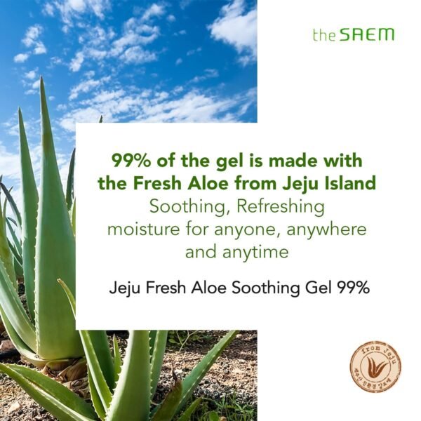 [the SAEM] Jeju Fresh Aloe Soothing Gel 99%, 300ml - Hydrate & Soothe Dry, Sensitive Skin - Image 7