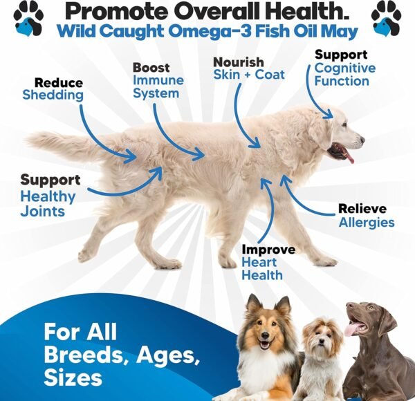 Omega 3 Fish Oil for Dogs - Better Than Salmon Oil - Dog Fish Oil Supplement to Reduce Shedding & Itching - Supports Joints, Brain, and Heart Health - Skin and Coat Supplement - Liquid Fish Oil - Image 3