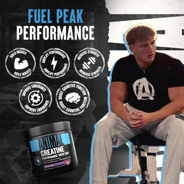 Animal Creatine Chews Tablets - Enhanced Creatine Monohydrate with AstraGin to Improve Absorption, Sea Salt for Added Pumps, Delicious and Convenient Chewable Tablets - Grape - Image 4