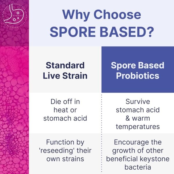 Microbiome Labs Spore Based Probiotic Gummies for Women, Men & Children - MegaSporeBiotic Gummies - 4 Bacillus Probiotics for Digestive Health & Microbiome Support - Berry Flavor (60 Gummies) - Image 5
