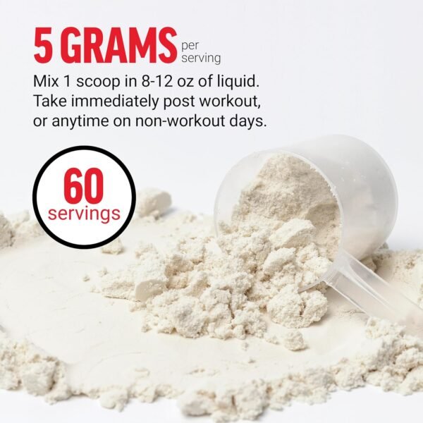 FORCE FACTOR Creatine Monohydrate, Creatine Powder for Muscle Gain, More Strength, and Faster Workout Recovery, Clinically Studied Micronized Creatine 5g Dose Per Serving, Unflavored, 60 Servings - Image 5