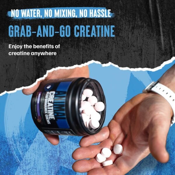 Animal Creatine Chews Tablets - Enhanced Creatine Monohydrate with AstraGin to Improve Absorption, Sea Salt for Added Pumps, Delicious and Convenient Chewable Tablets - Grape - Image 7