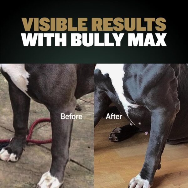 Bully Max 11-in-1 Muscle Gain Power Chews - High Protein Dog Supplement with Amino Acids - Healthy Treats for Puppy & Adult Dogs - Premium Muscle Builder for All Breeds - 75 Tasty Soft Dog Chews - Image 6