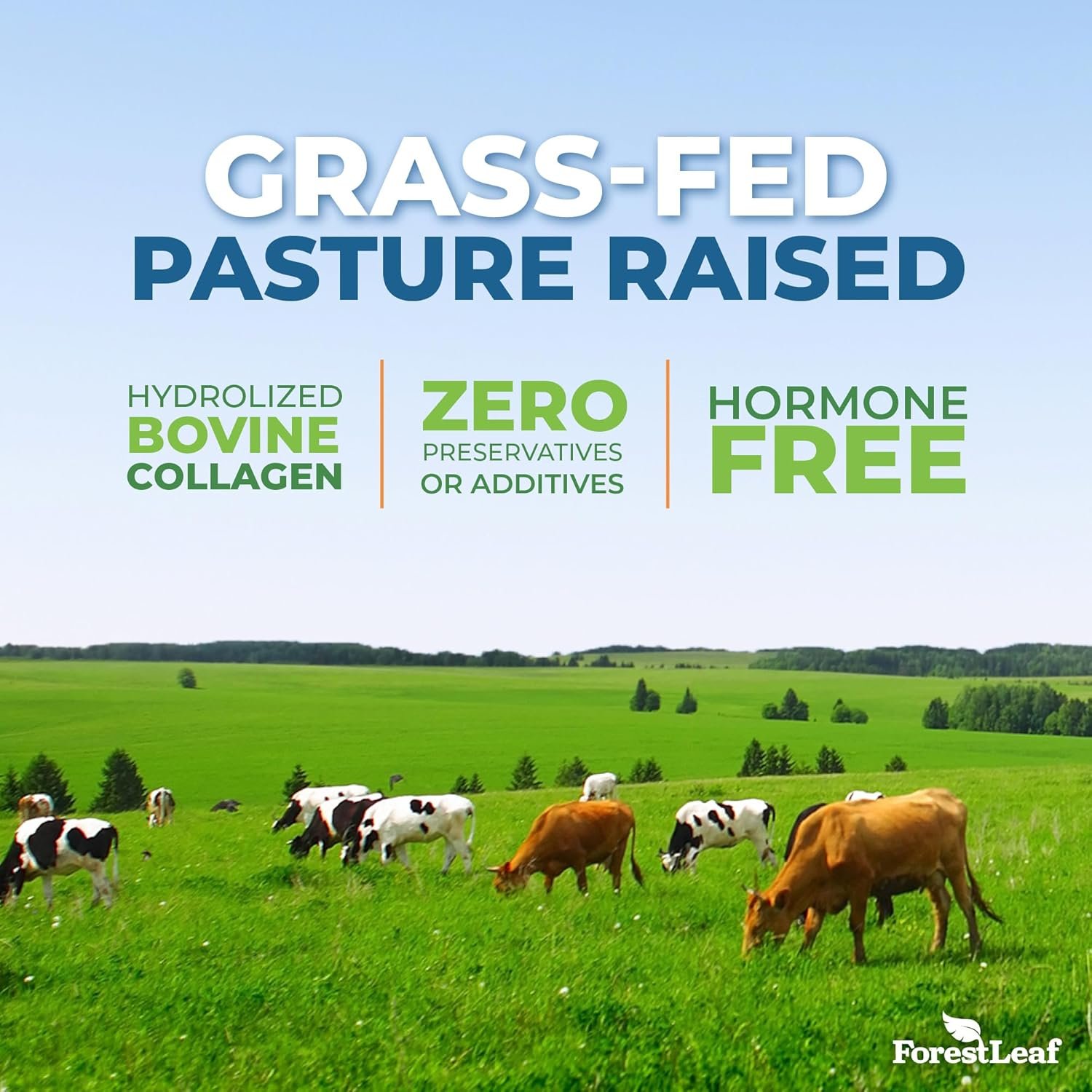 ForestLeaf Multi Collagen Pills with Hyaluronic Acid + Vitamin C | Hydrolyzed Collagen Supplements for Women or Men | Multi Collagen Capsules Peptides for Skin, Wrinkles, 120 Caps - Image 6