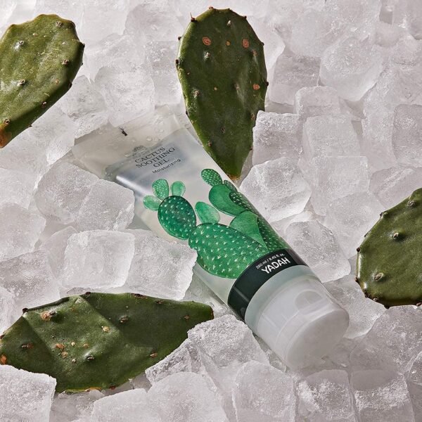 YADAH Cactus Soothing Gel (8.45fl oz) - Sunburn Relief, Calm, Cool & Soothe Irritated Skin, Face Redness. Korean Skin Care. 95% Cactus Extract, Vegan. - Image 9