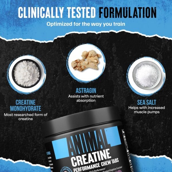 Animal Creatine Chews Tablets - Enhanced Creatine Monohydrate with AstraGin to Improve Absorption, Sea Salt for Added Pumps, Delicious and Convenient Chewable Tablets - Grape - Image 6