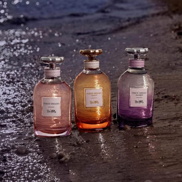 Coach Dreams Moonlight - Image 7