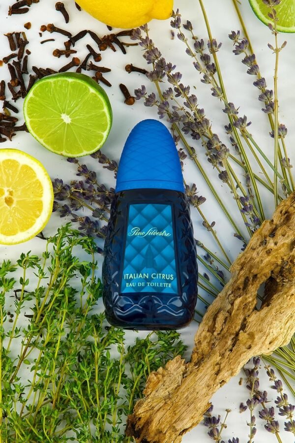 Pino Silvestre Italian Citrus Perfume for Men - Woody, Aromatic Scent - Blended with Lemon, Pine, Apple, Patchouli, and Musk - for Calm, Collective Gentlemen - 4.2 oz EDT Spray - Image 5