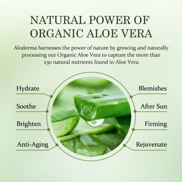 Aloderma Soothing Cleanser for Sensitive Skin Made with 76% Organic Aloe Vera and Allantoin to Calm & Gently Cleanse Damaged Skin, 3.5oz - Image 5