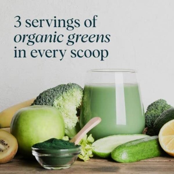 Ora Organic Greens Powder - Vegan, Gluten-Free, Organic Super Greens Drink for Energy and Detox | Antioxidants & Adaptogenic Herbs | 20+ Superfood Greens Blend - Citrus Flavor, 30 Servings - Image 4