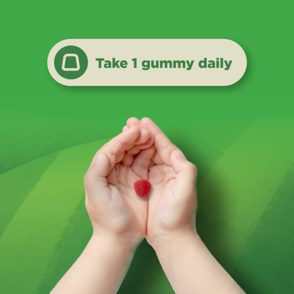 USDA Organic Kids Probiotic Gummies - Gut Bacteria Probiotics for Digestive Health & Stomach Relief - Gentle 2.5B CFU Kids Immune Support & Gut Heath Supplement - Vegan & Non-GMO Chews - 60 Count - Image 6