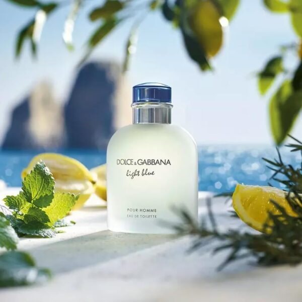 Dolce & Gabbana Light Blue Pour Homme, Eau De Toilette Spray, Fragrance For Men - Image 4