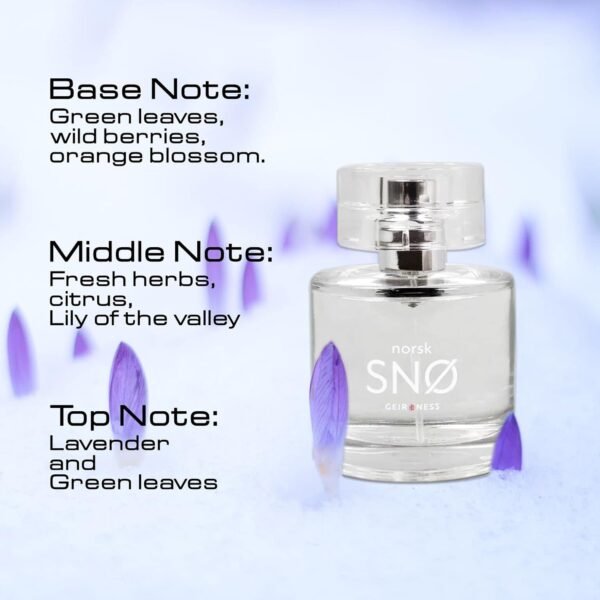 Geir Ness NORSK SNØ Eau de Parfum - Unisex Cologne with Fresh Herbs Sensual Perfume - Unisex Natural Perfume (100 ml) - Image 4