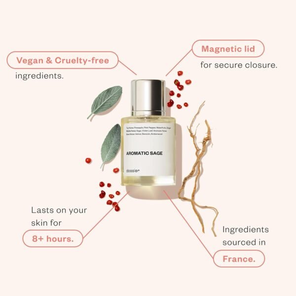 Dossier - Aromatic Sage 1.7 Fl oz (50ml) - Eau de Parfum - Inspired by Valentin's Born in Roma U.omo - Perfume Luxury - Pure Infused - Paraben Free - Vegan - For Men - Image 3